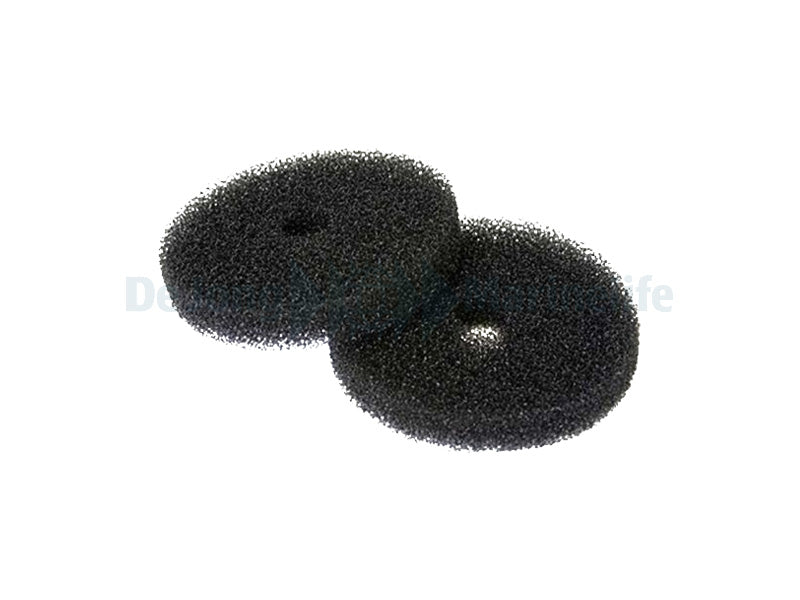 Reactor 550 Foam Disks Set of two