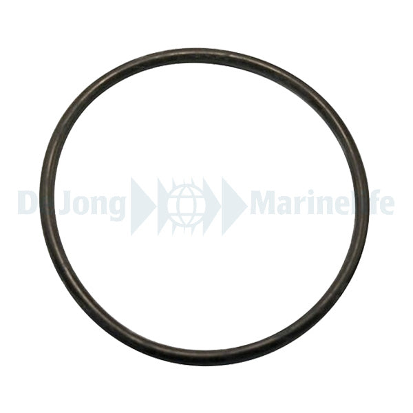 Reactor 150 O-Ring (1 per pack)