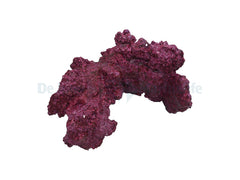 Real Reef Arches - 4pcs a box (25-35cm)