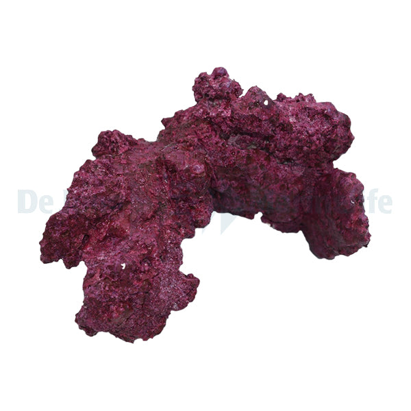 Real Reef Arches - 4pcs a box (25-35cm)