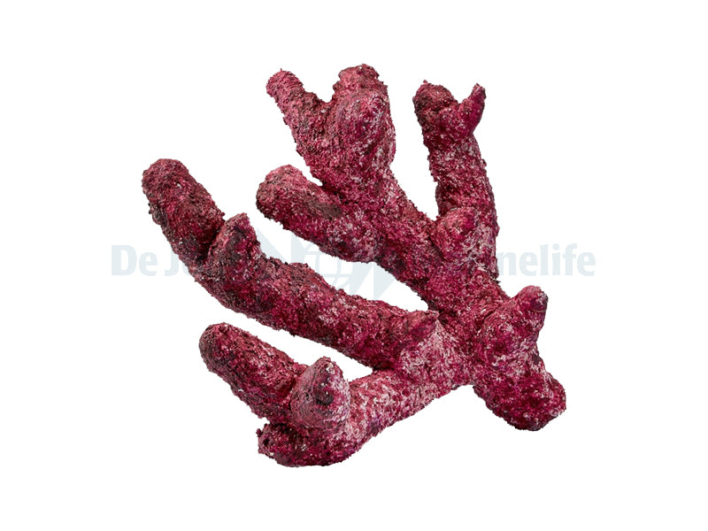 Real Reef Rock - Fancy Branch