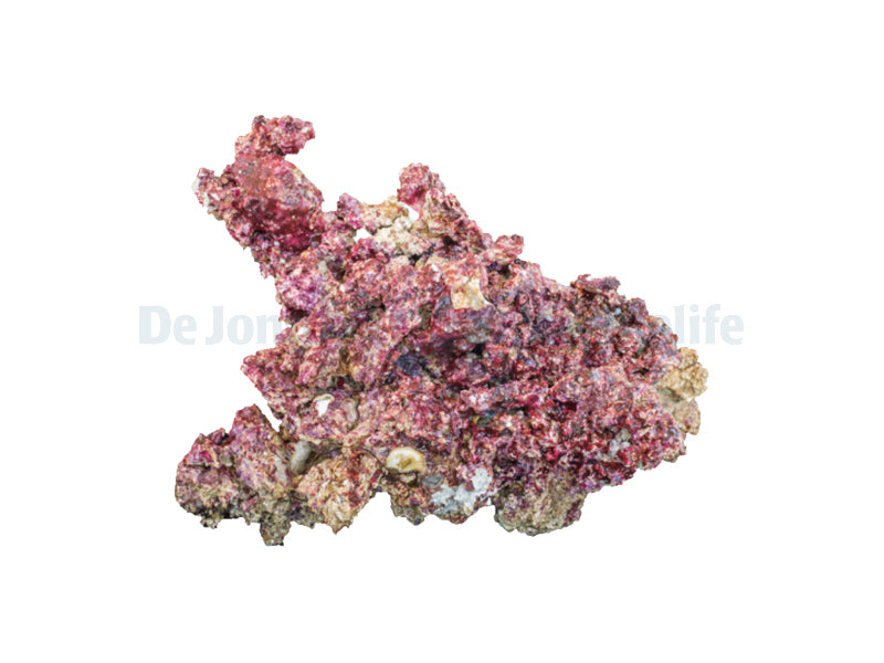 Real Reef Rock - Large