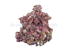 Real Reef Rock - XLarge/Show