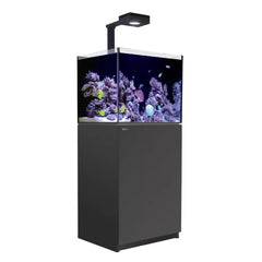 Red Sea REEFER MAX 170 G2+ Zwart (Volledig Systeem)