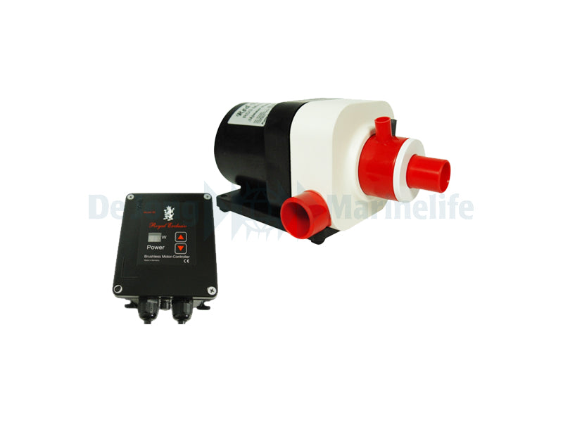 Red Dragon 3 Mini Speedy 60W / 2500 l/h for BK SM