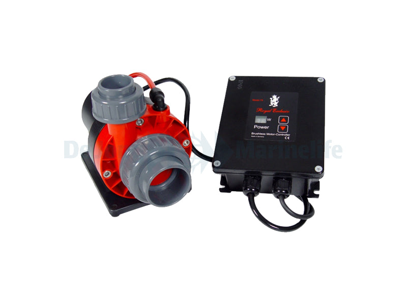 Red Dragon 3 Speedy 80W