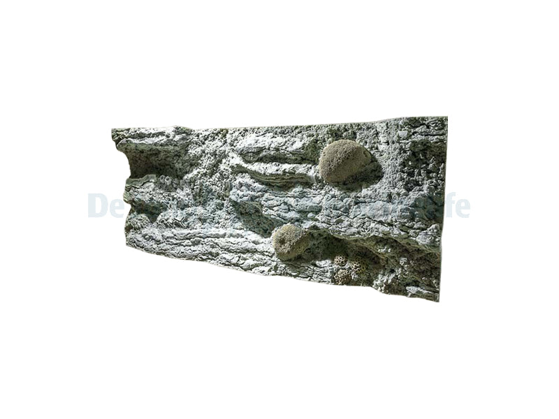 Reef L: 120 x H: 50 cm