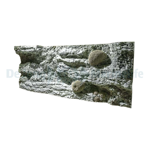 Reef L: 120 x H: 50 cm
