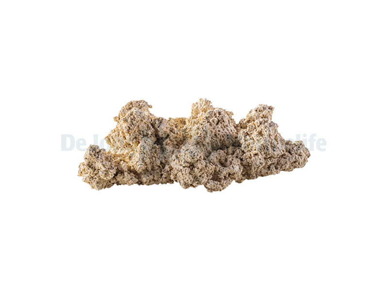 Reef Plate - 30 cm