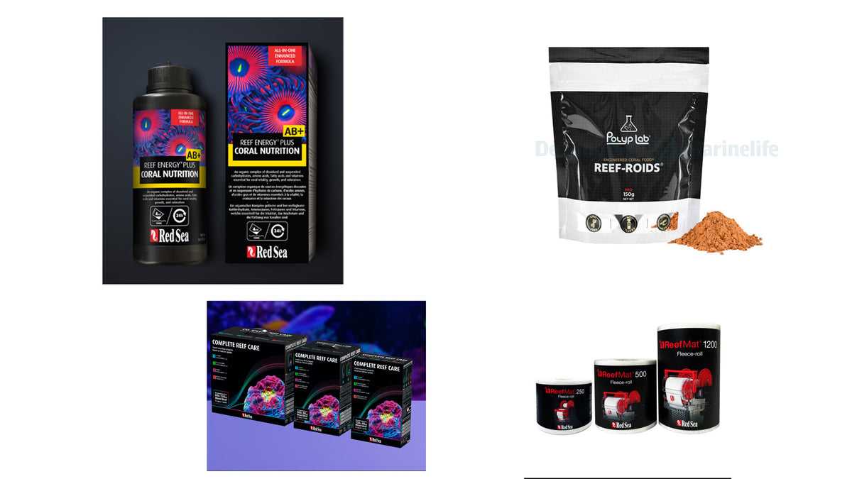 Reef Care Love Box