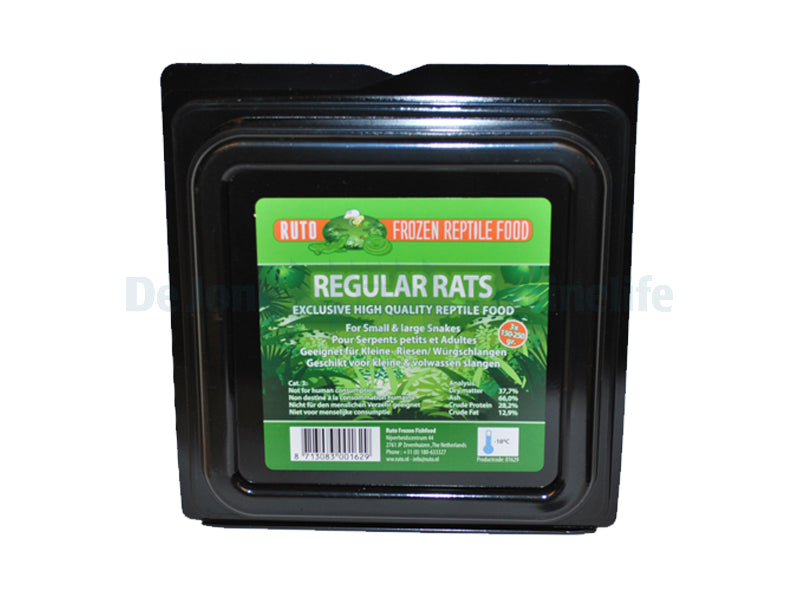 Regular Rat - 150-250 g x 3 - 1 pc