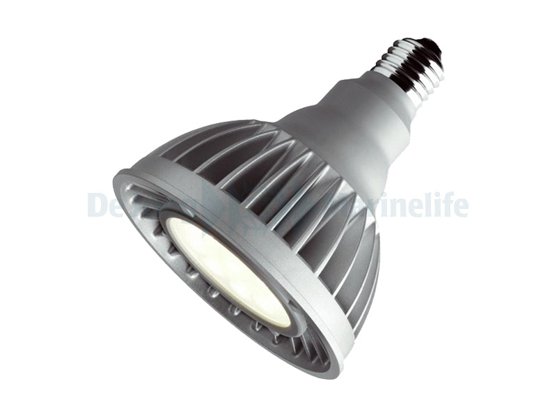 Replacement bulb LED 20 W - 6500 K