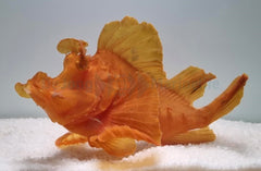 Rhinopias eschmeyeri (Orange)