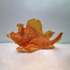 Rhinopias eschmeyeri (Orange)