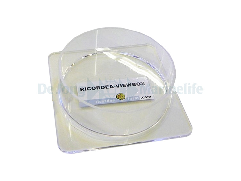 Ricordea-Viewbox - 1 pc