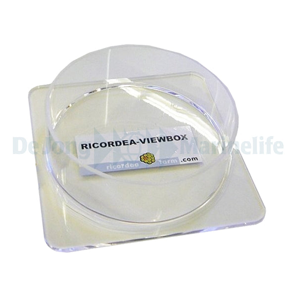 Ricordea-Viewbox - 1 pc