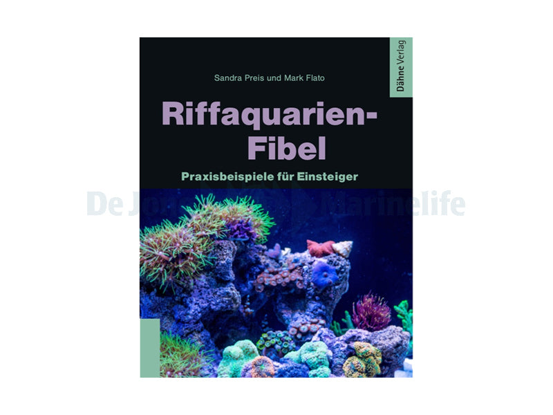 Rif aquarium fibula  - 1 pc