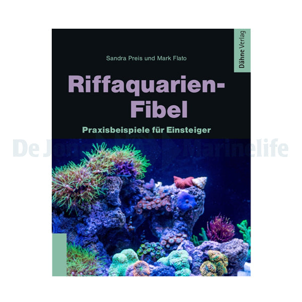 Rif aquarium fibula  - 1 pc