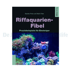 Rif aquarium fibula  - 1 pc