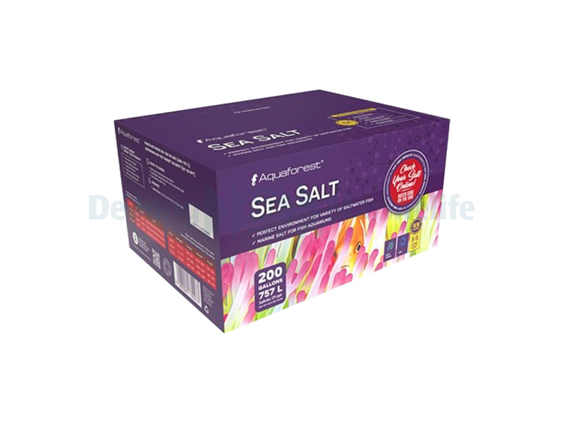 Sea Salt Box - 5 x 5 kg