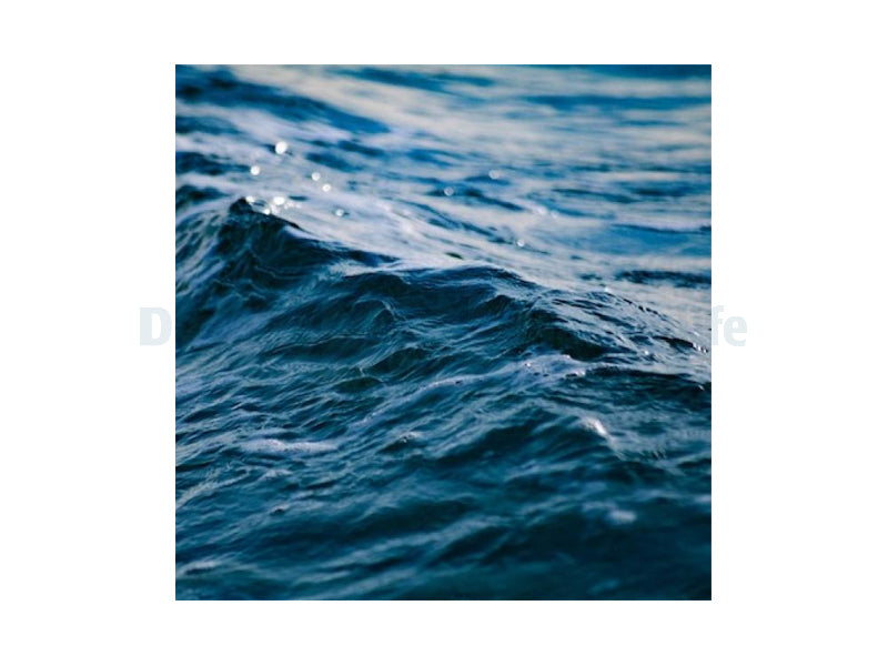 Seawater made from DJM Finest Salt p/ltr