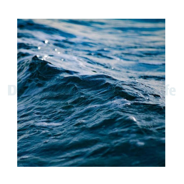 Seawater made from DJM Finest Salt p/ltr