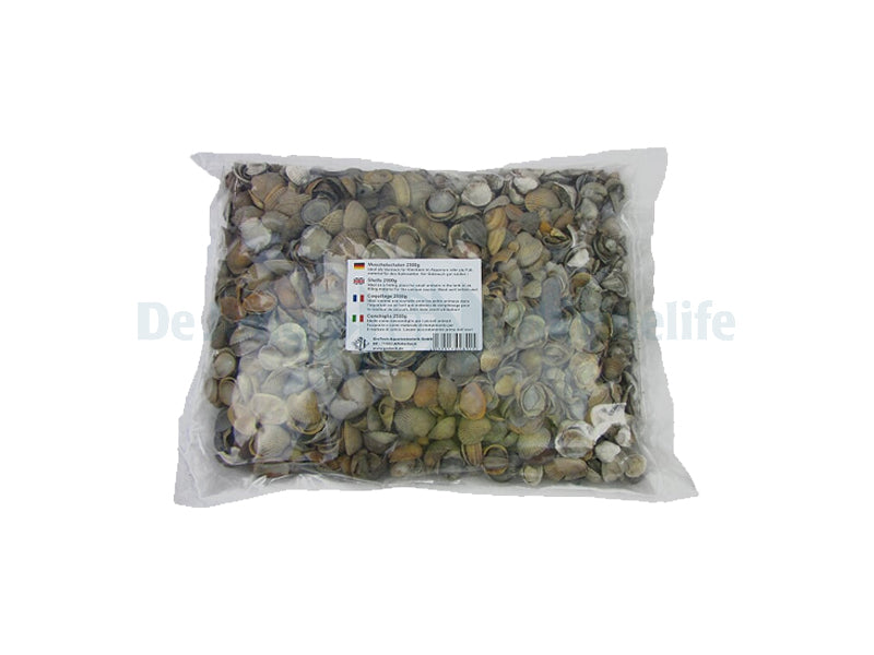 Shells - 2500 g