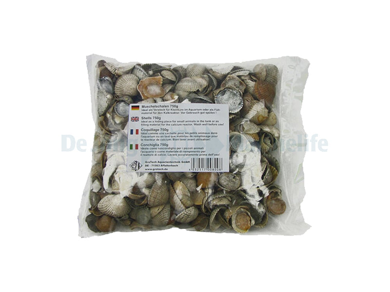Shells - 750 g