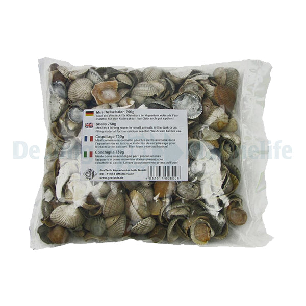 Shells - 750 g