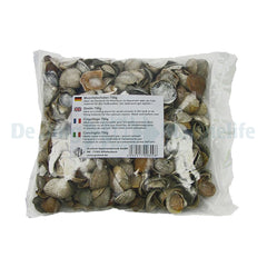 Shells - 750 g