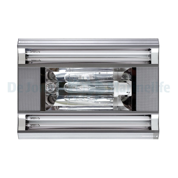 SPECTRA HQI 600 mm - 1 x 250 W / 4 x 24 W Polar White