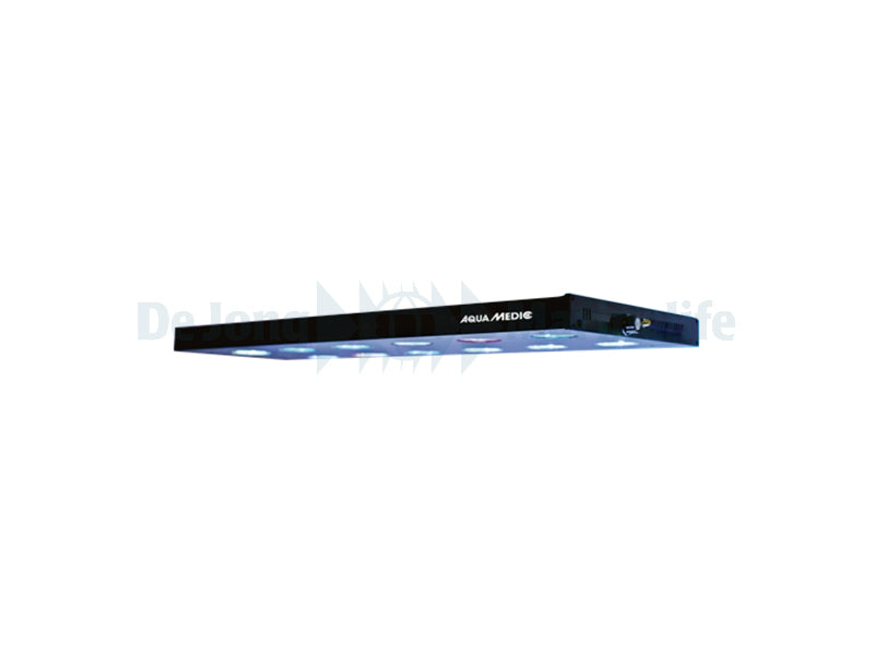 Spectrus 60