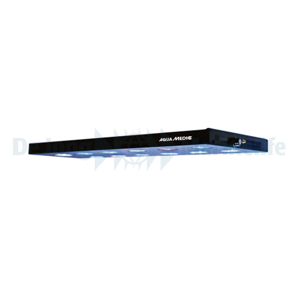 Spectrus 60