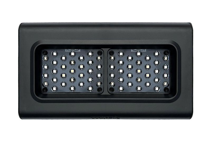 D-D SPEKTRUM 150 High Output LED Light