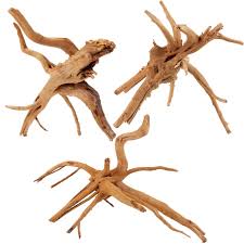 Spiderwood 12-20cm