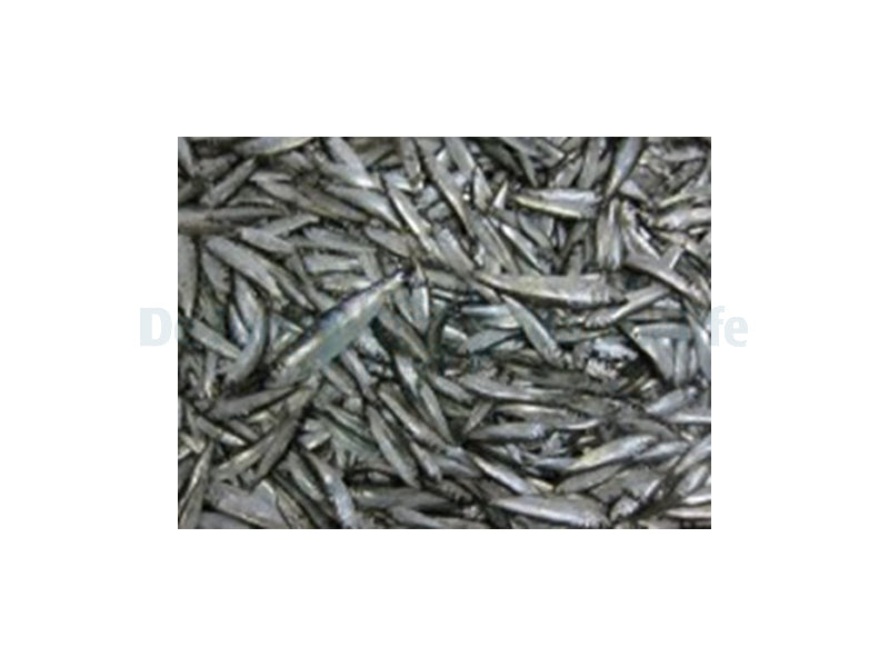 Sprot (sprat) - 1000 g