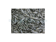 Sprot (sprat) - 1000 g