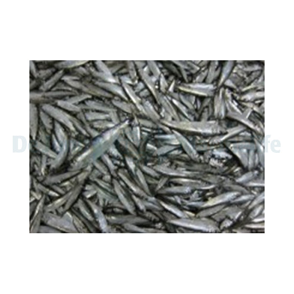 Sprot (sprat) - 1000 g