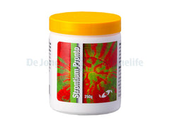 Strontium Pronto - 250 g
