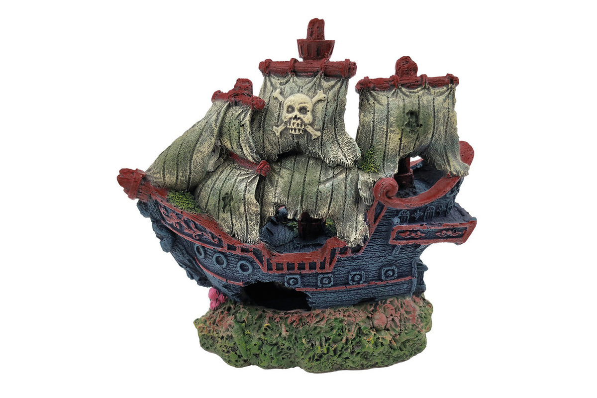 Superfish scheepswrak
