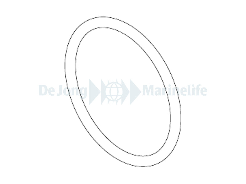 O-RING Syncrapond 0.5-1.0 - Ecopond 1 - 2pcs