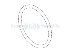 SYNCRA NANO  O-RING