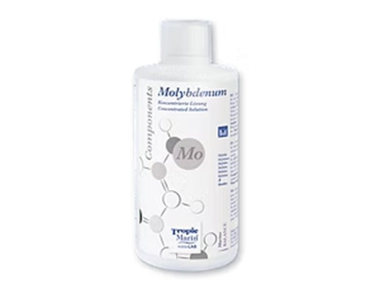 Molybdenum - 250 ml bottle