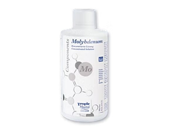 Molybdenum - 250 ml bottle