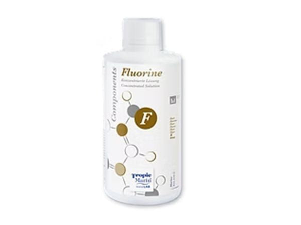 Fluoride - 500 ml bottle