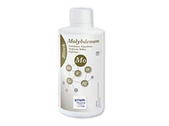Block Molybdenum - 1000 ml bottle