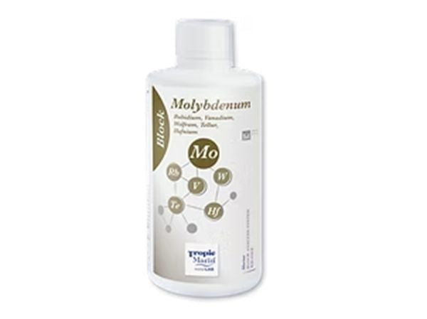 Block Molybdenum - 1000 ml bottle