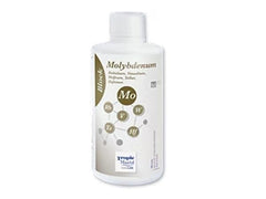 Block Molybdenum - 1000 ml bottle