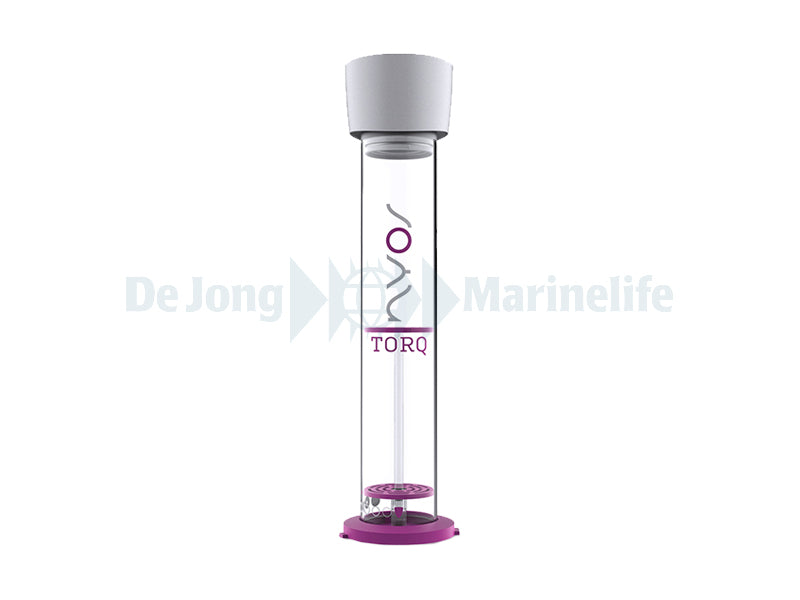 Torq Body 1.0 G2