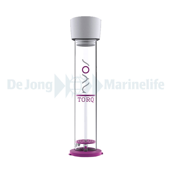 Torq Body 1.0 G2